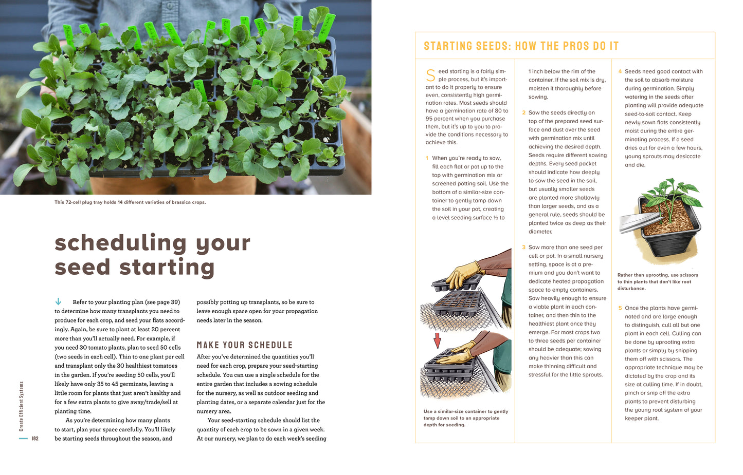 "Grow More Food" - book