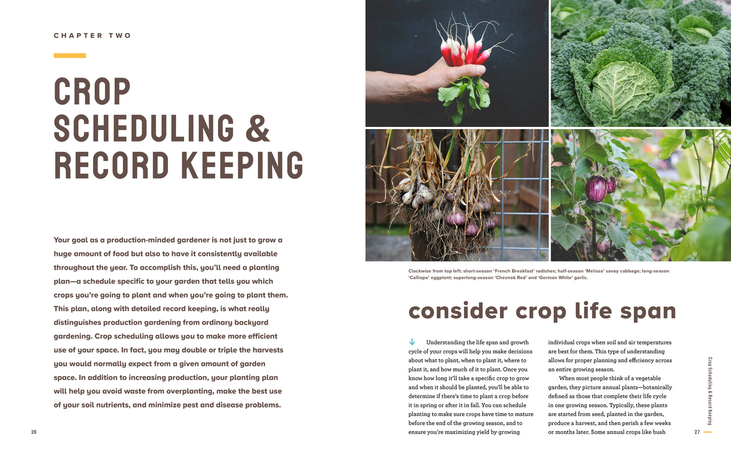 "Grow More Food" - book