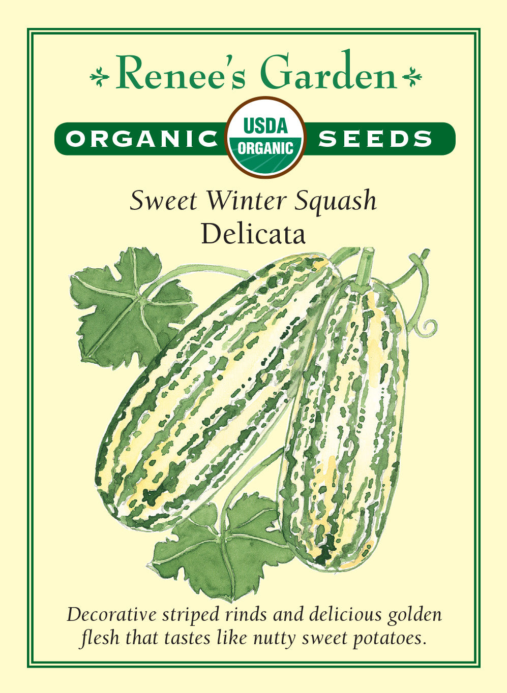 Squash Winter Delicata Organic