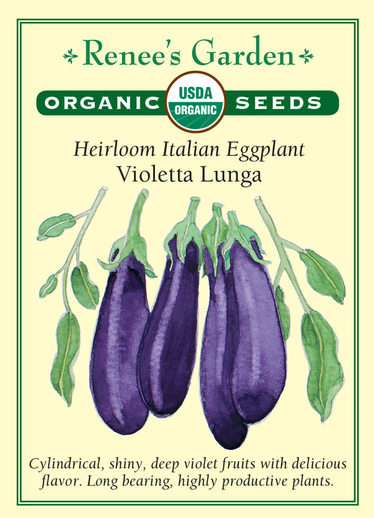 Eggplant Italian Violetta Lunga Organic