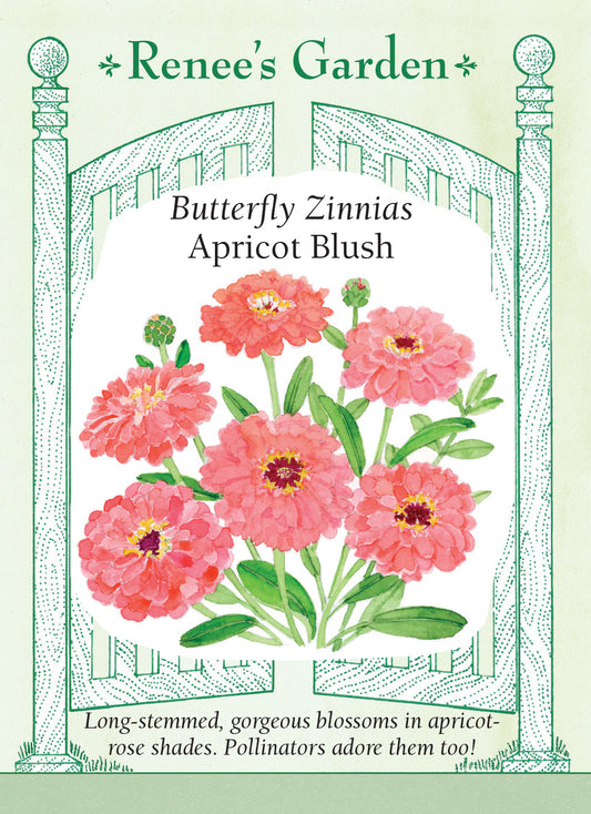 Zinnias - (Butterfly) Apricot Blush