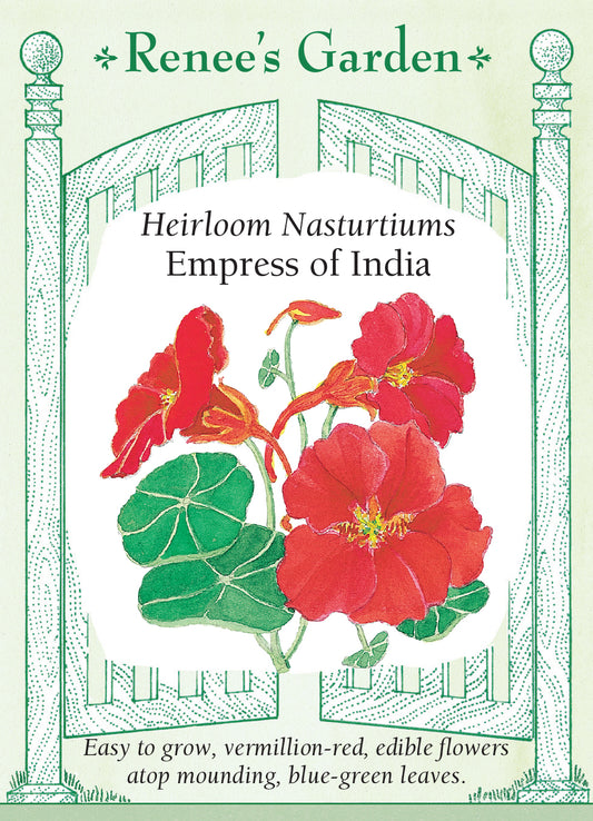 Nasturtium Empress of India