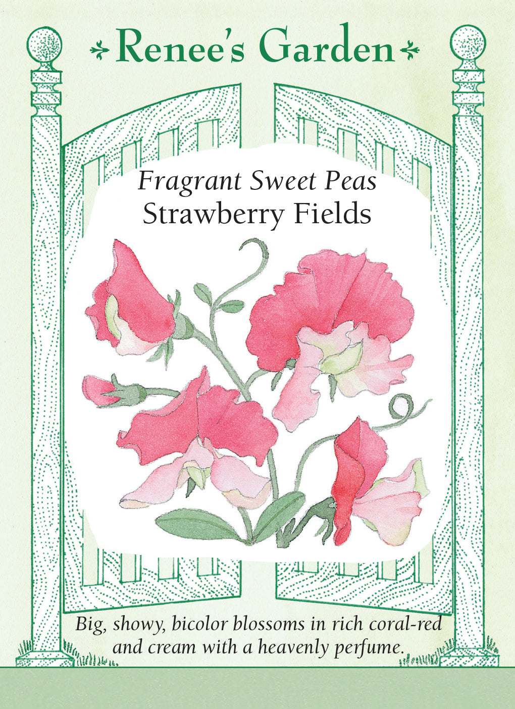 vertical garden seeds organic garden and flower seeds, for vertical gardening