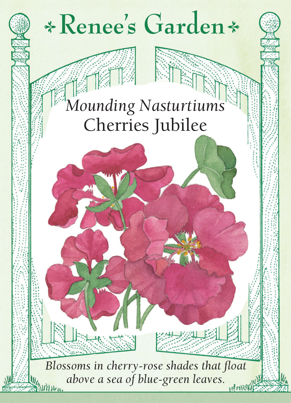 Nasturtium Cherries Jubilee