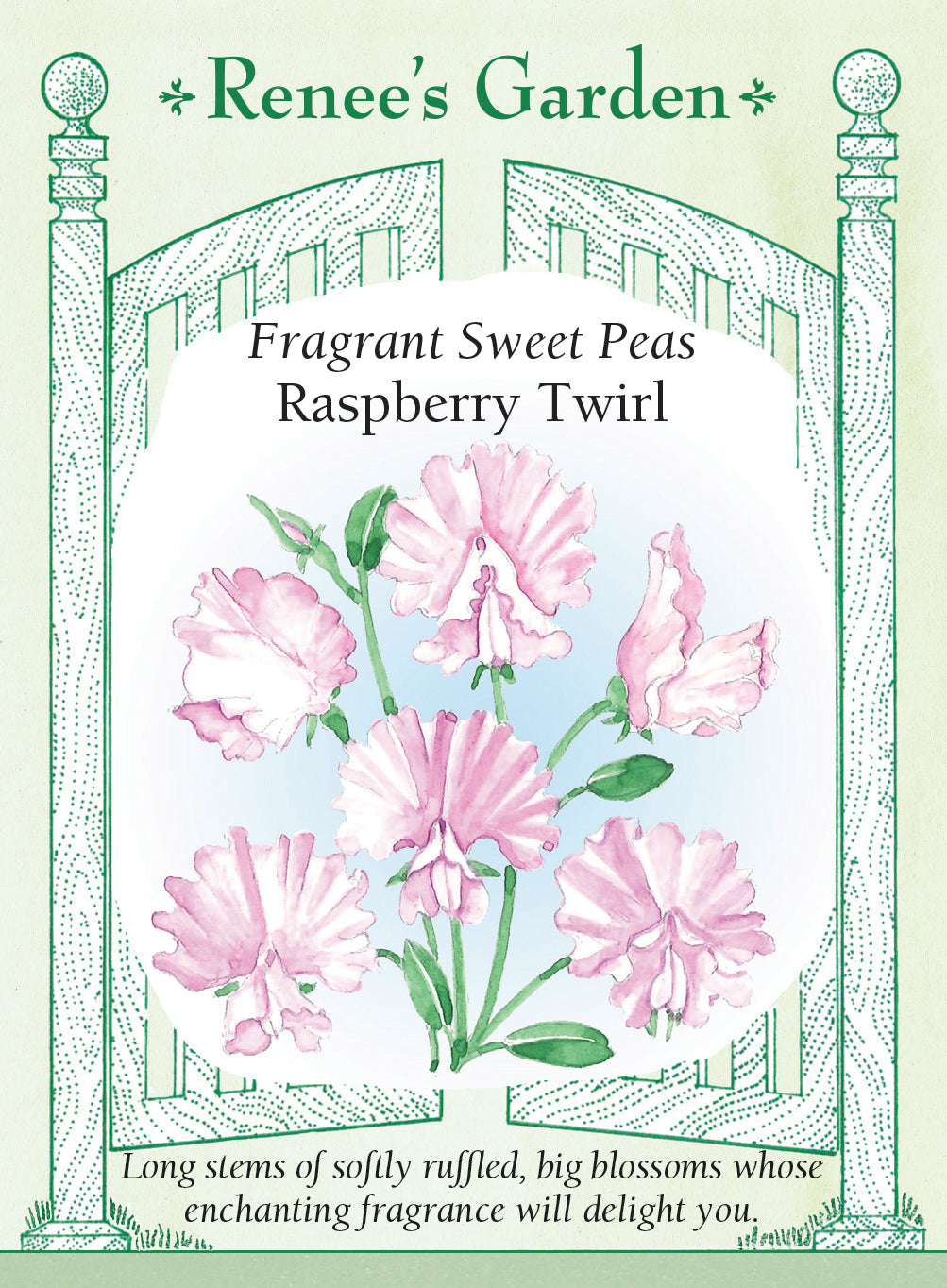 vertical garden seeds organic garden and flower seeds, for vertical gardening