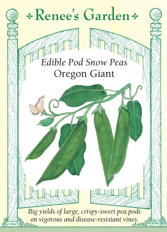 Peas - Oregon Giant Snow