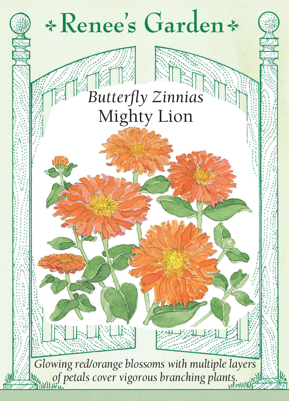 Zinnias - (Butterfly) Mighty Lion