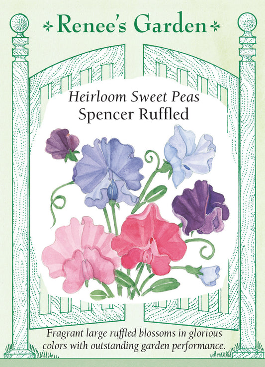 Sweet Pea Spencer Ruffled