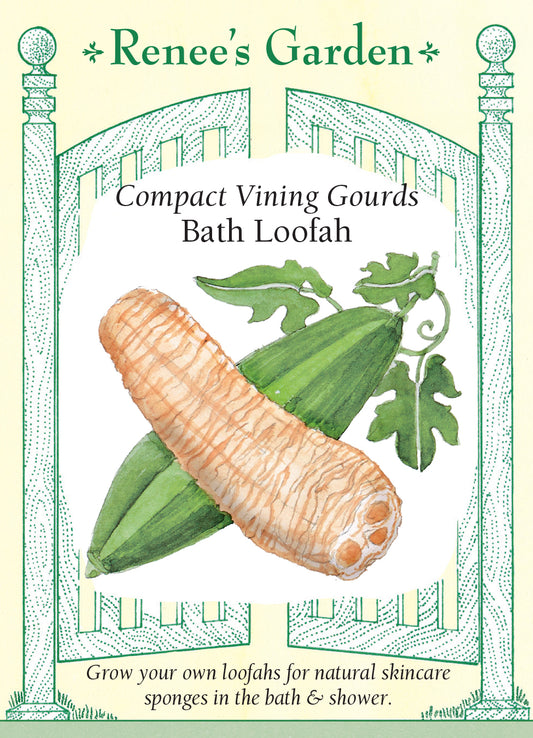 Gourd - Bath loofah