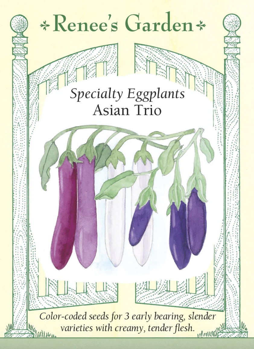 Asian Trio Specialty Eggplants seed