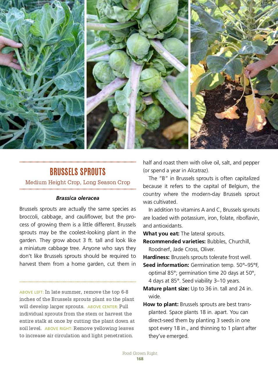 "Food Grown Right, In Your Backyard" - book
