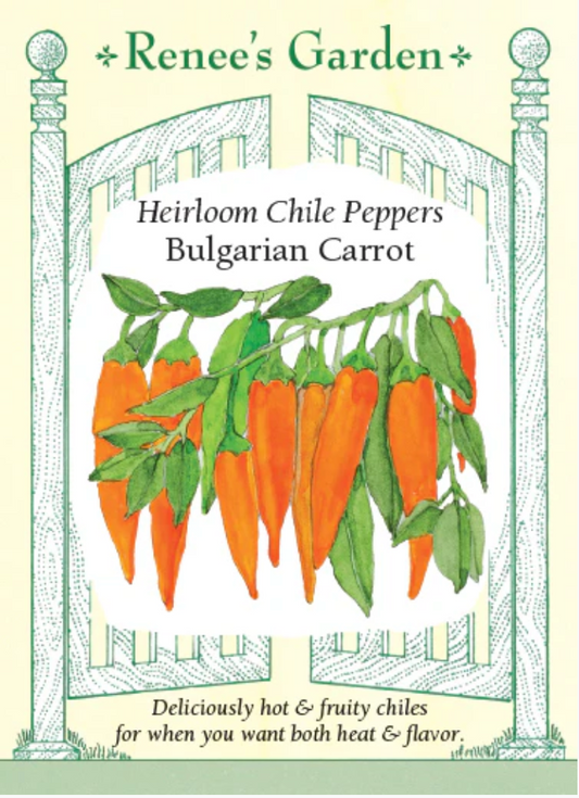 Bulgarian Carrot Chili Pepper Heirloom seed