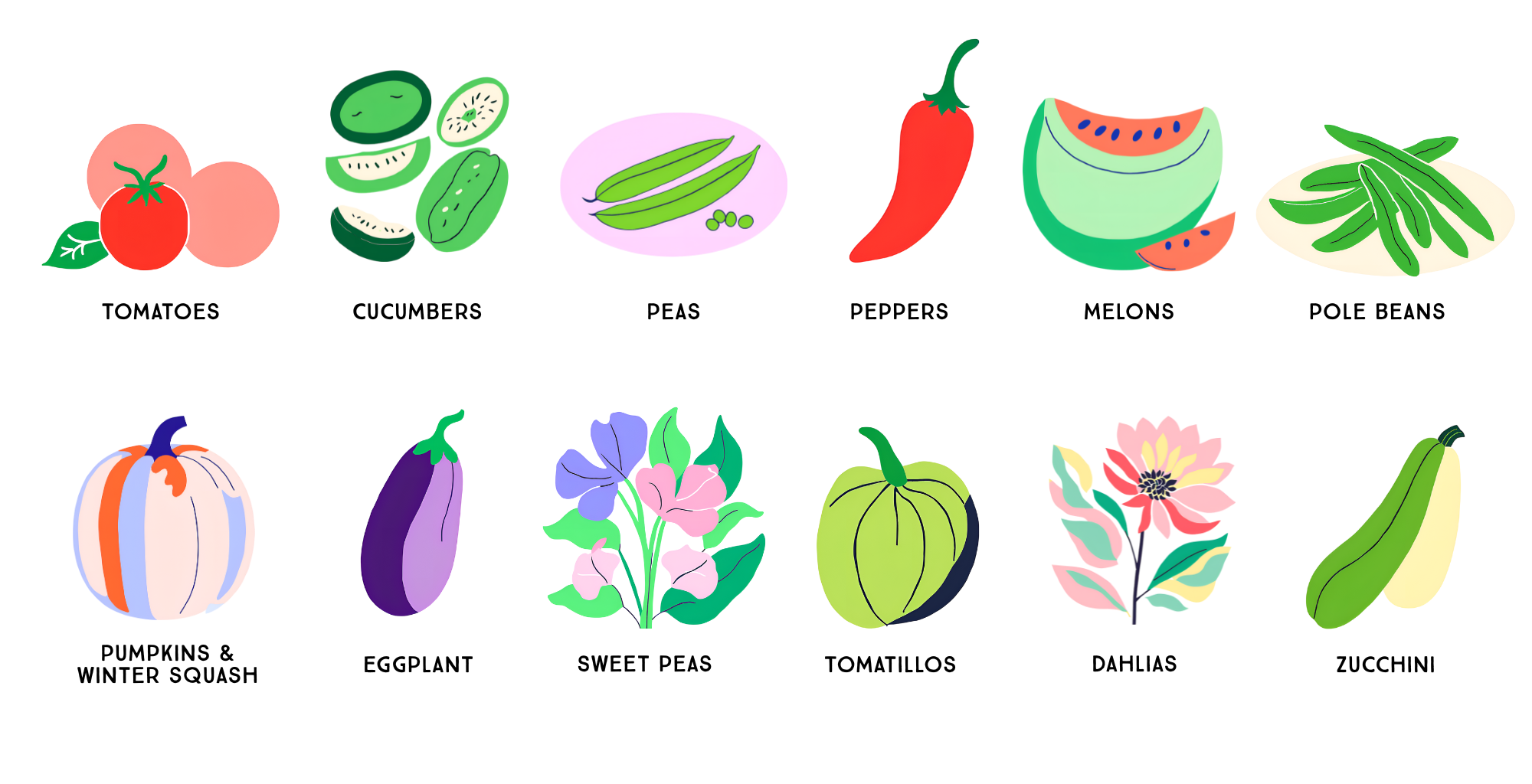 Grow a variety of garden crops on one sturdy trellis