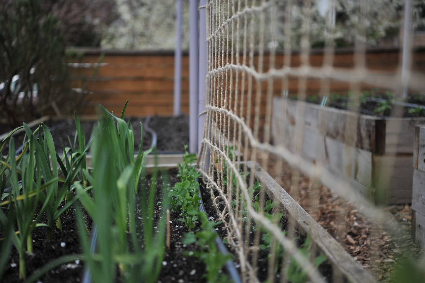 (NEW!) Compostable Jute Garden Netting