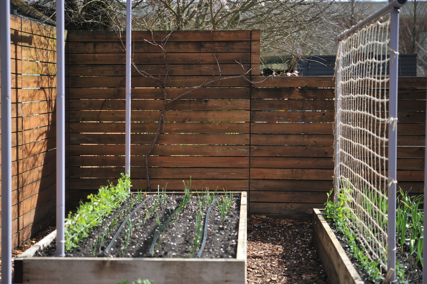 (NEW!) Compostable Jute Garden Netting