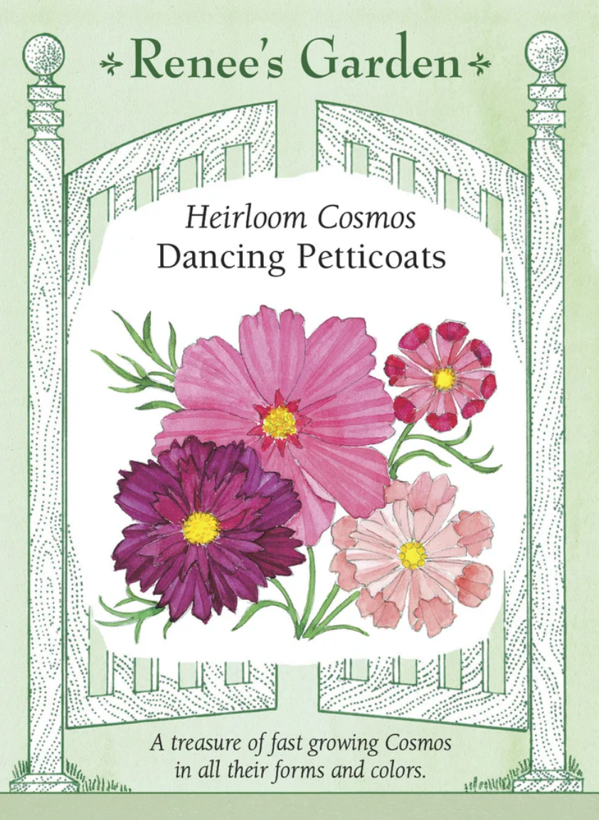 Dancing Petticoats Heirloom Cosmos seed