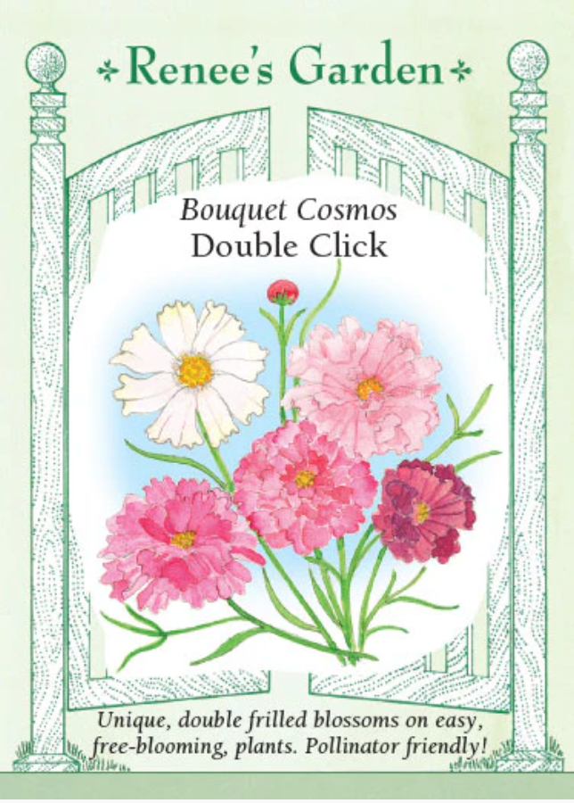 Double Click Cosmos seeds