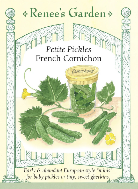 French Cornichon petite pickles seed