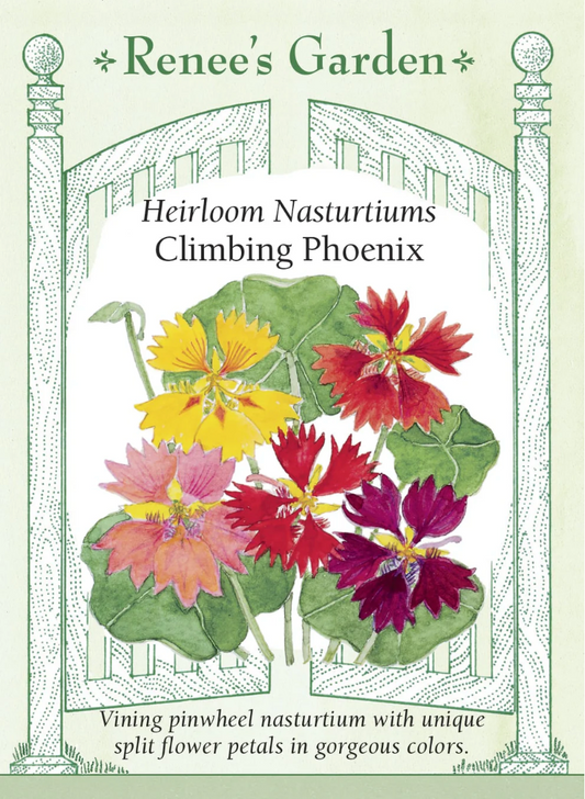 Heirloom Nasturtiums Climbing Phoenix seed