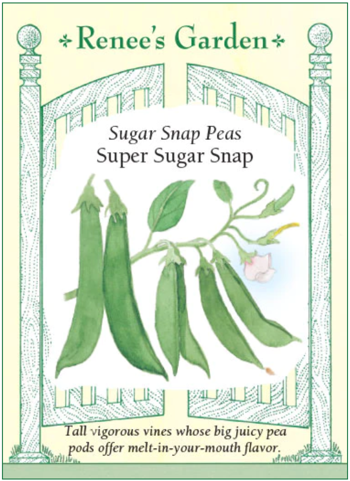 Super Sugar Snap (2024 seed- on sale!)