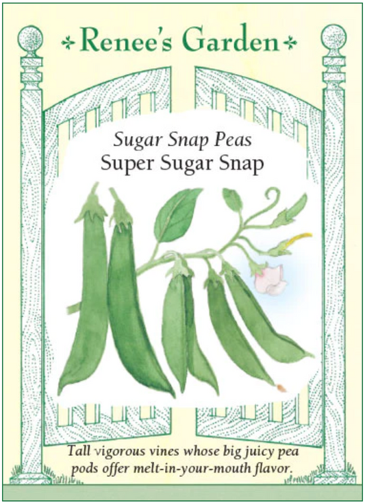 Peas - Super Sugar Snap