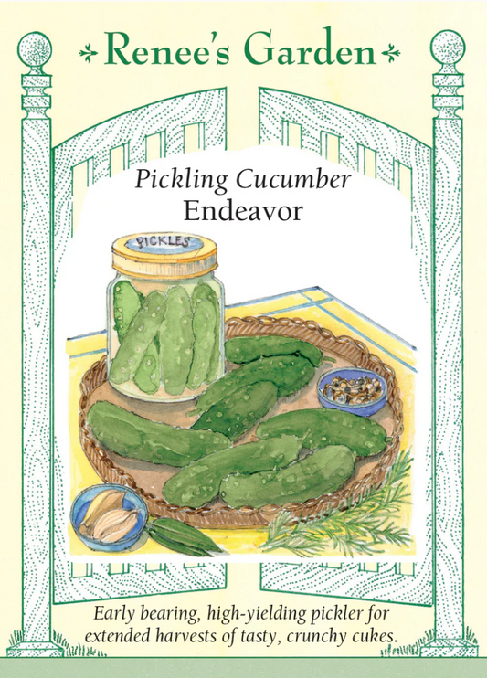Cucumber - Endeavor Pickling