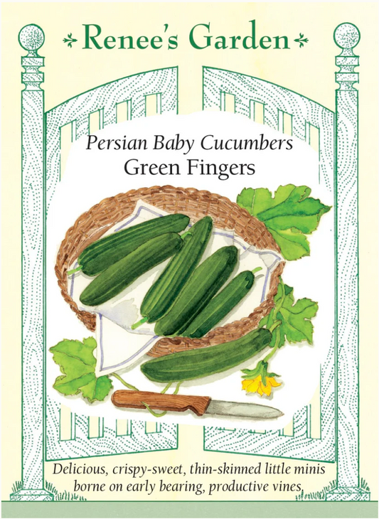 Cucumber - Persian Baby Green Fingers