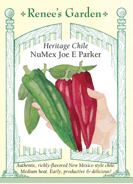 Pepper - NuMex Joe E Parker Chile