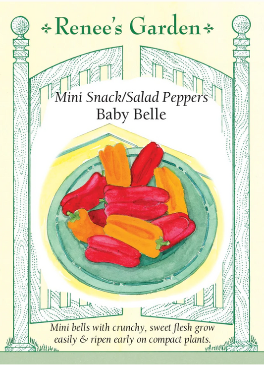 Pepper - Mini Baby Belle