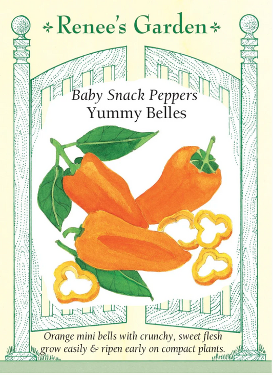 Pepper - Sweet Yummy Mini Belles