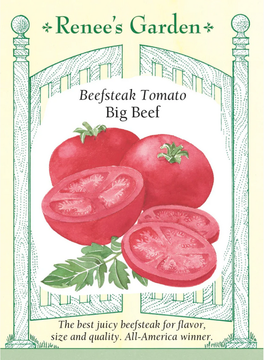 Tomato - Big Beef Beefsteak