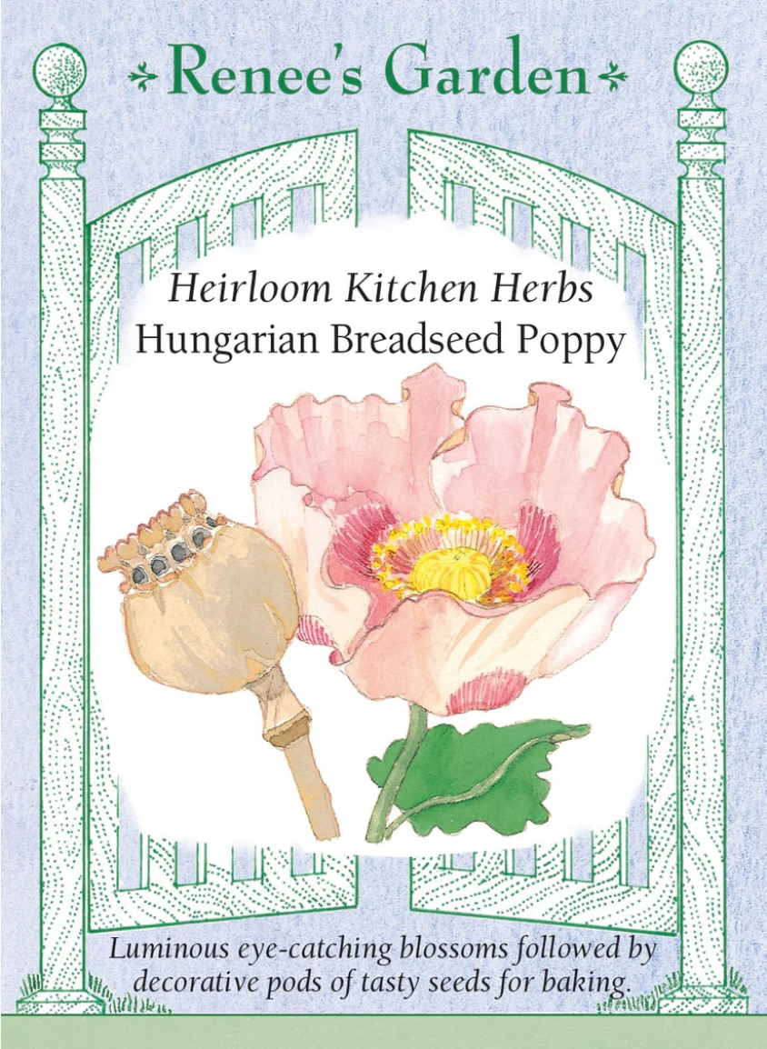 Poppy - Hungarian Breadseed