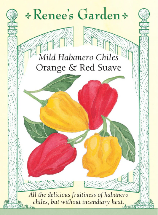 Pepper - Chile Habanero Orange & Red Suave Mild