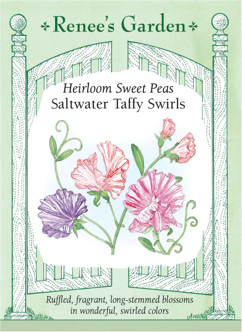 Sweet Peas -Saltwater Taffy Swirls