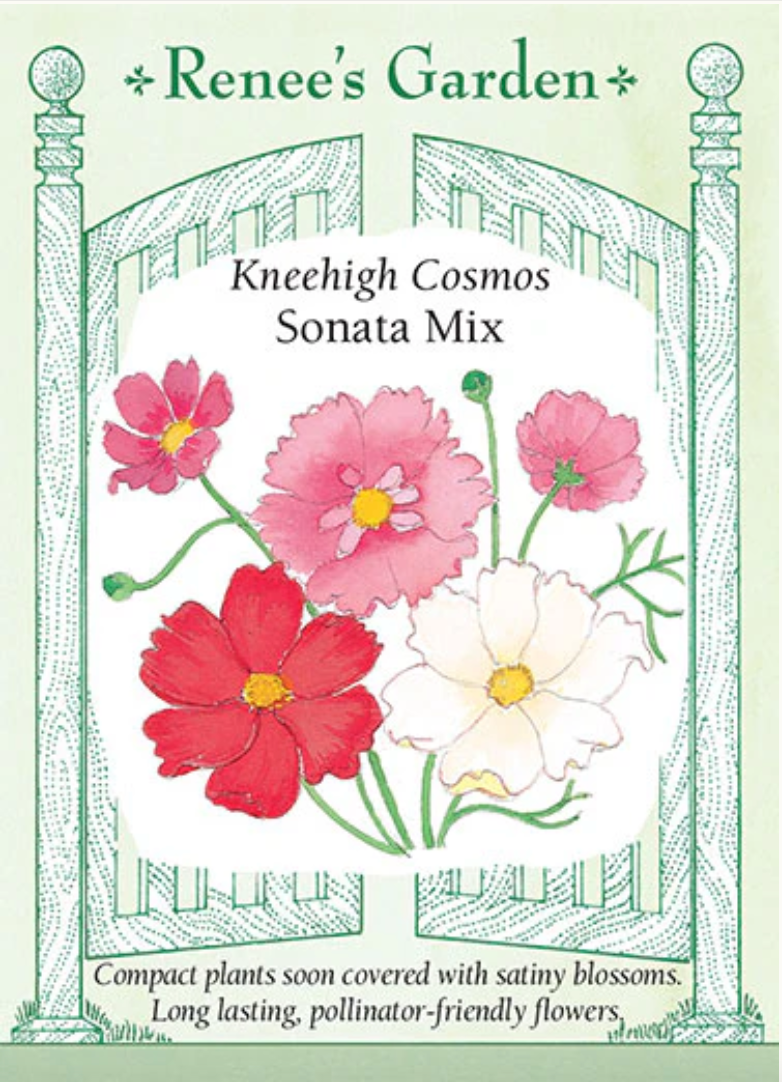 Sonata Mix Kneehigh Cosmos seed