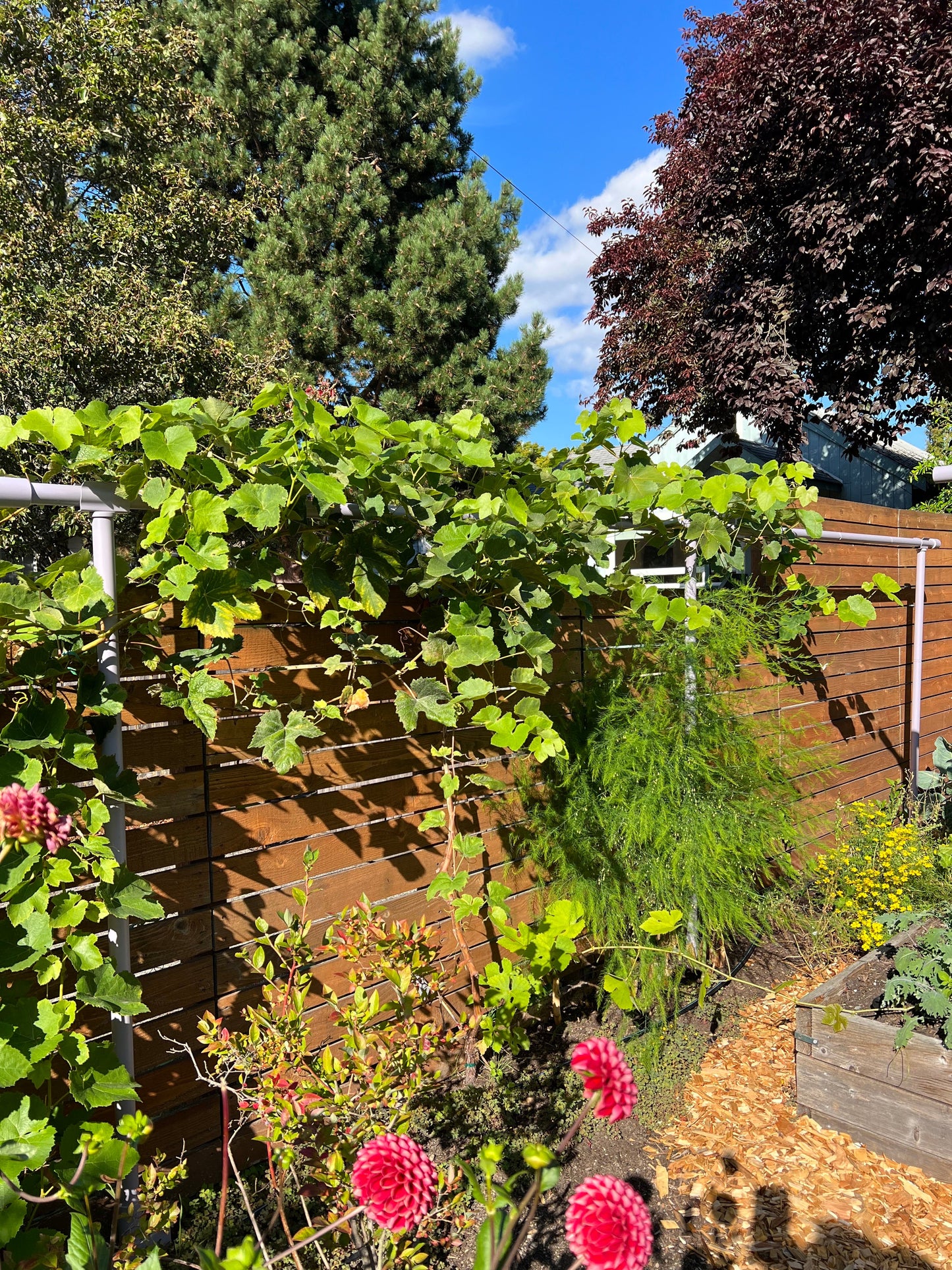 Freyr garden trellis - 8 segment extension kit