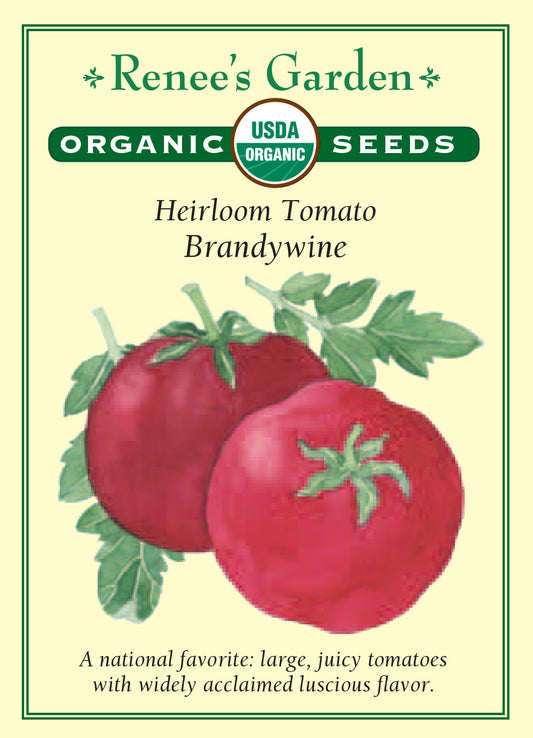 Tomato Brandywine Red Organic