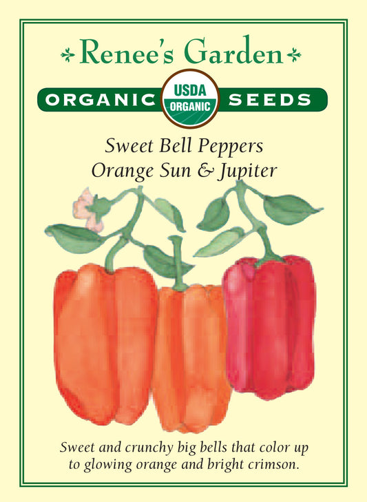 Pepper Sweet Orange & Red Bell Organic