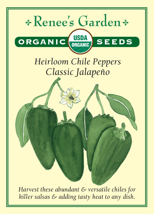 Pepper Chile Jalapeno Organic