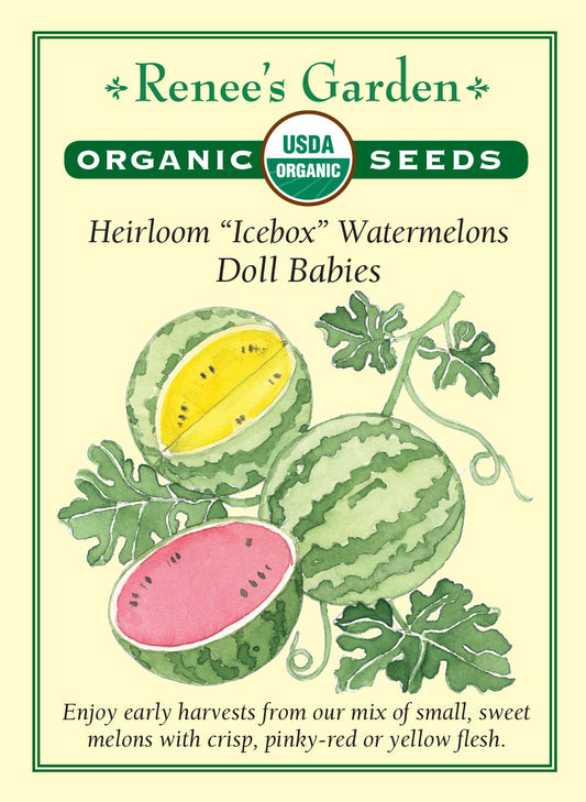 Watermelon Doll Babies Organic