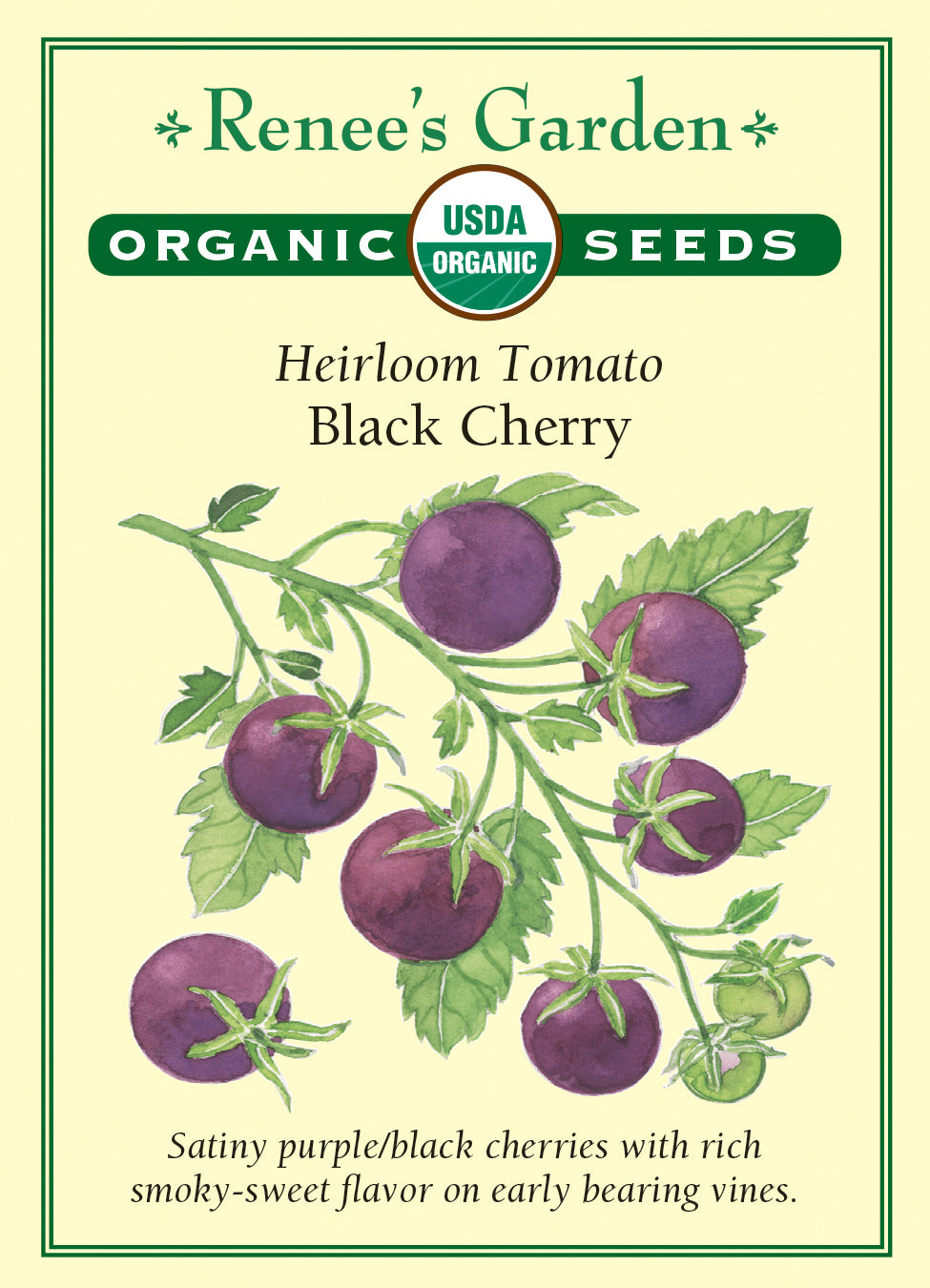 Tomato Cherry Black Cherry Organic