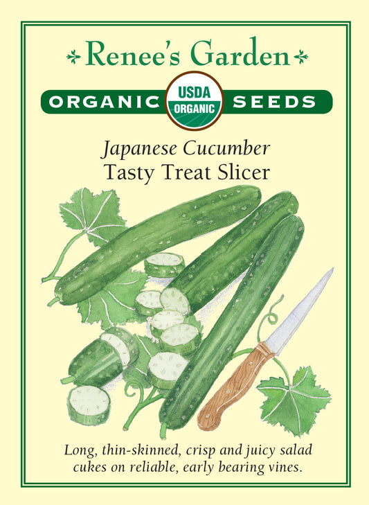 Cucumber Tasty Treat Organic