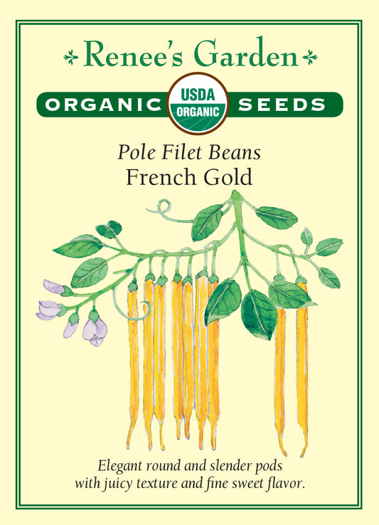 Bean (Pole) French Gold Filet Organic