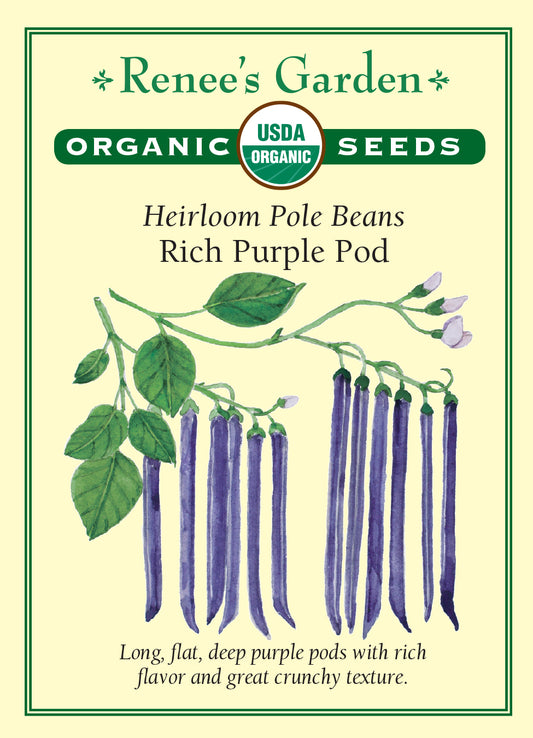 Bean (Pole) Purple Pod Organic
