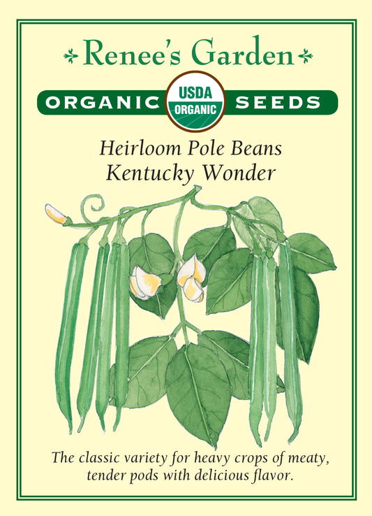 Bean (Pole) Kentucky Wonder Organic