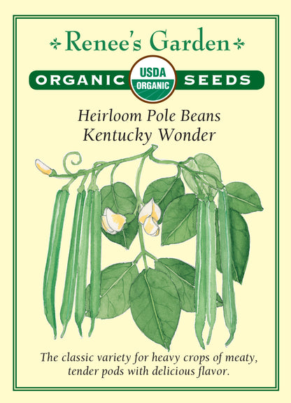 Bean (Pole) Kentucky Wonder Organic