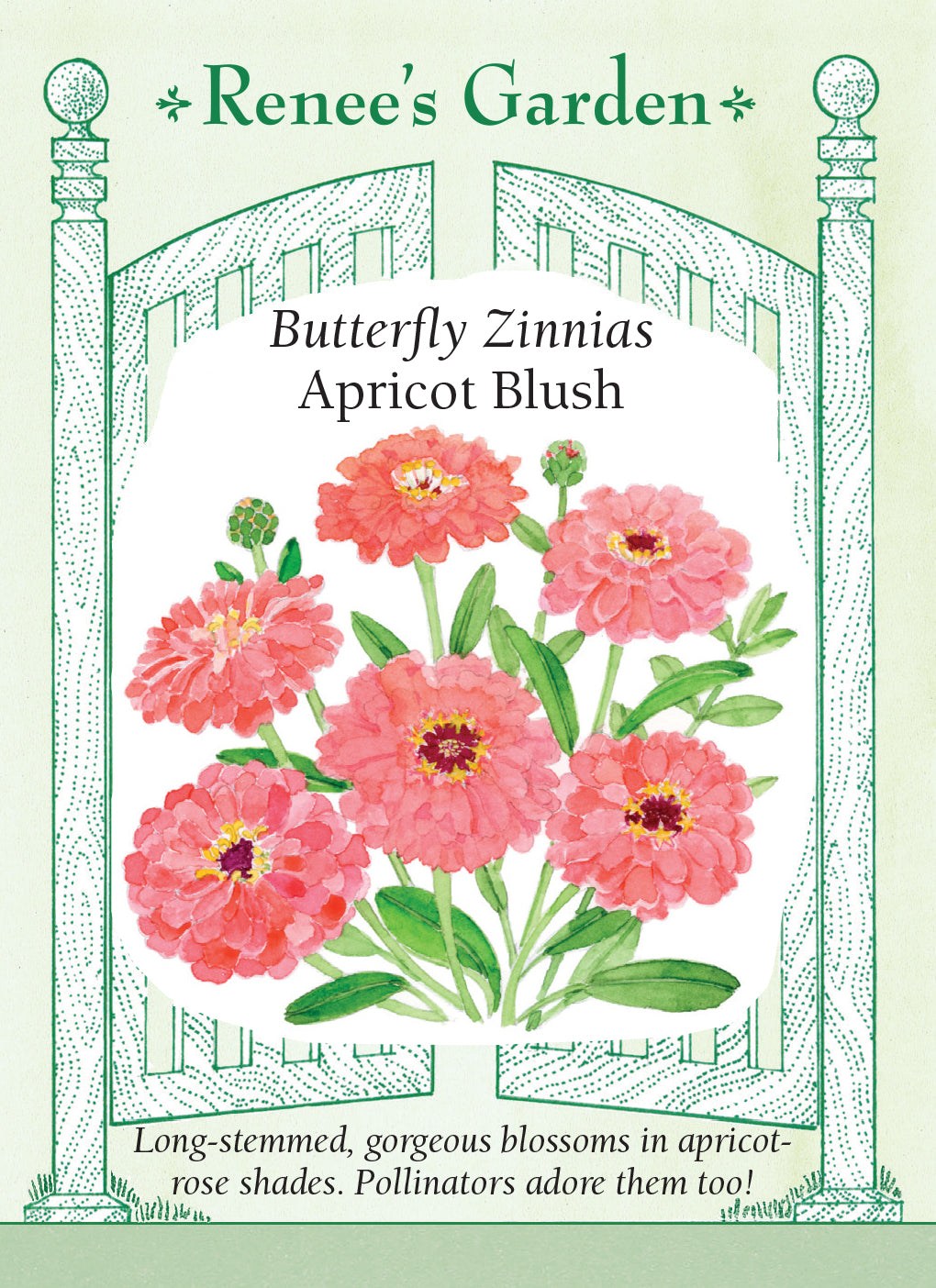 Butterfly Zinnias Apricot Blush