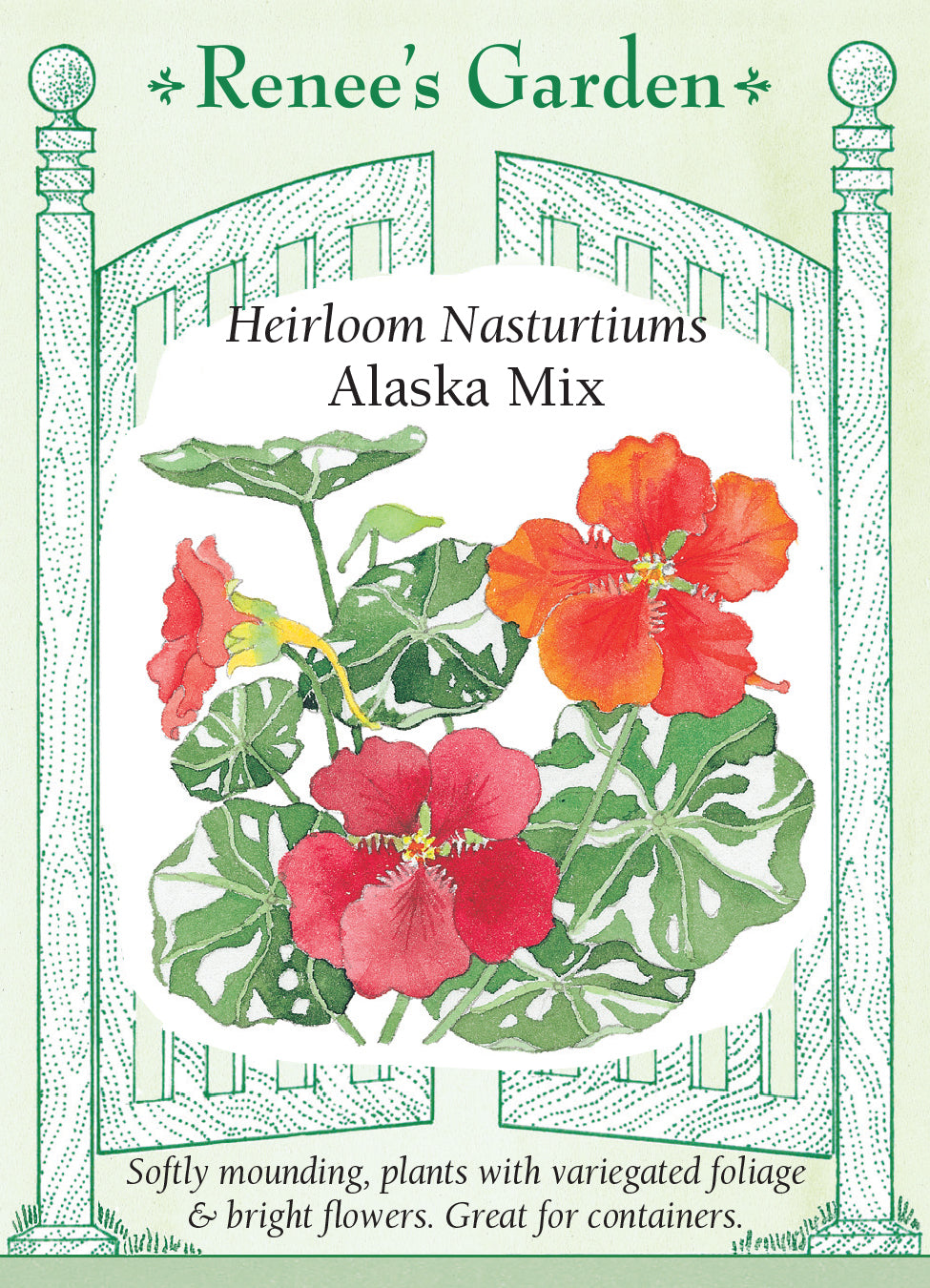 Nasturtium Alaska Mix