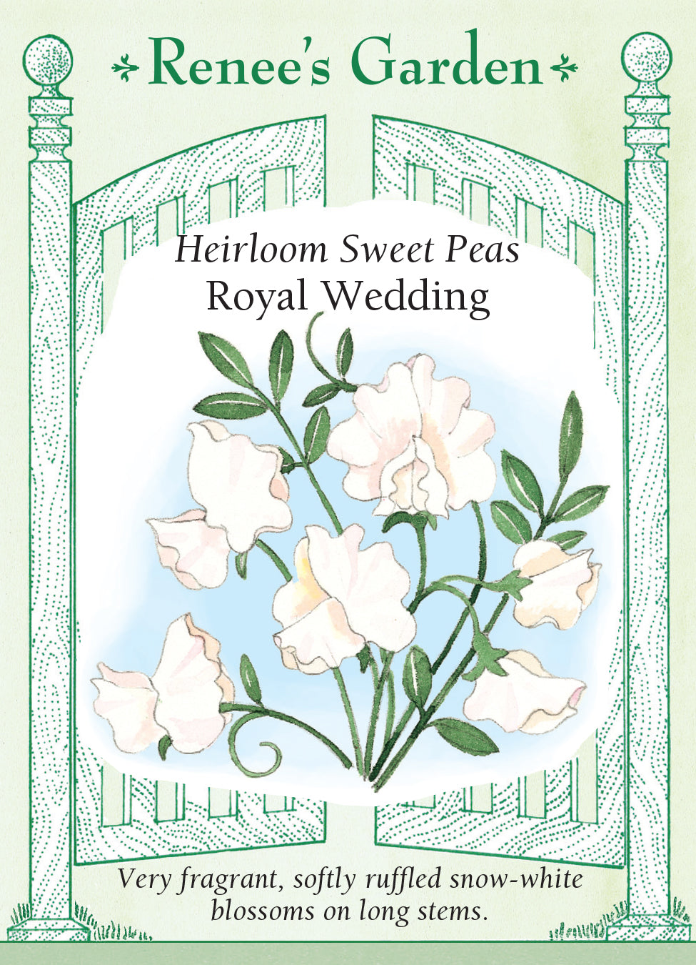 Sweet Pea Royal Wedding