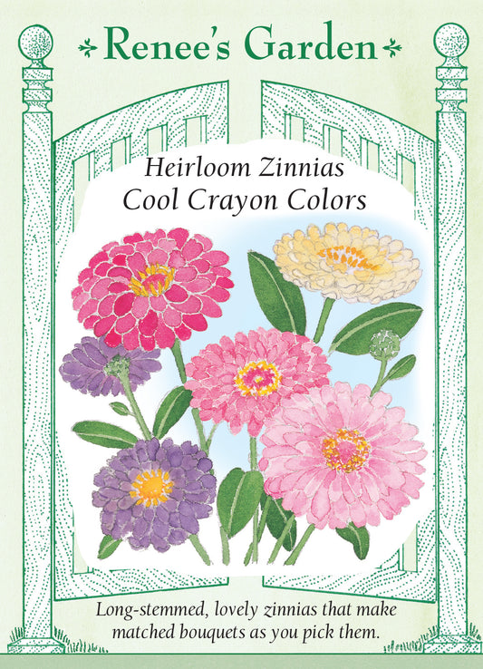 Heirloom Zinnias Cool Crayon Colors